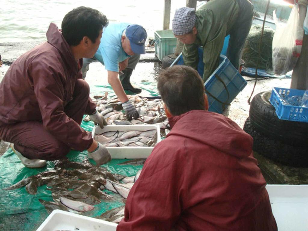 料理民宿　志麻 加賀市 エクステリア 写真